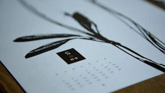 Power Automate: dateDifference function