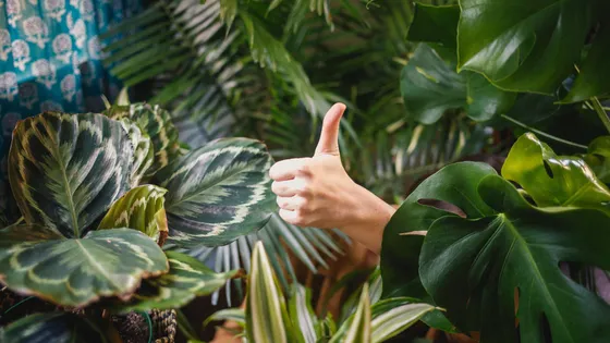 Flow: Create an approval process