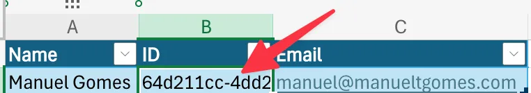 The generated Excel ID in the file