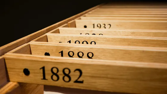 SharePoint: YEAR function