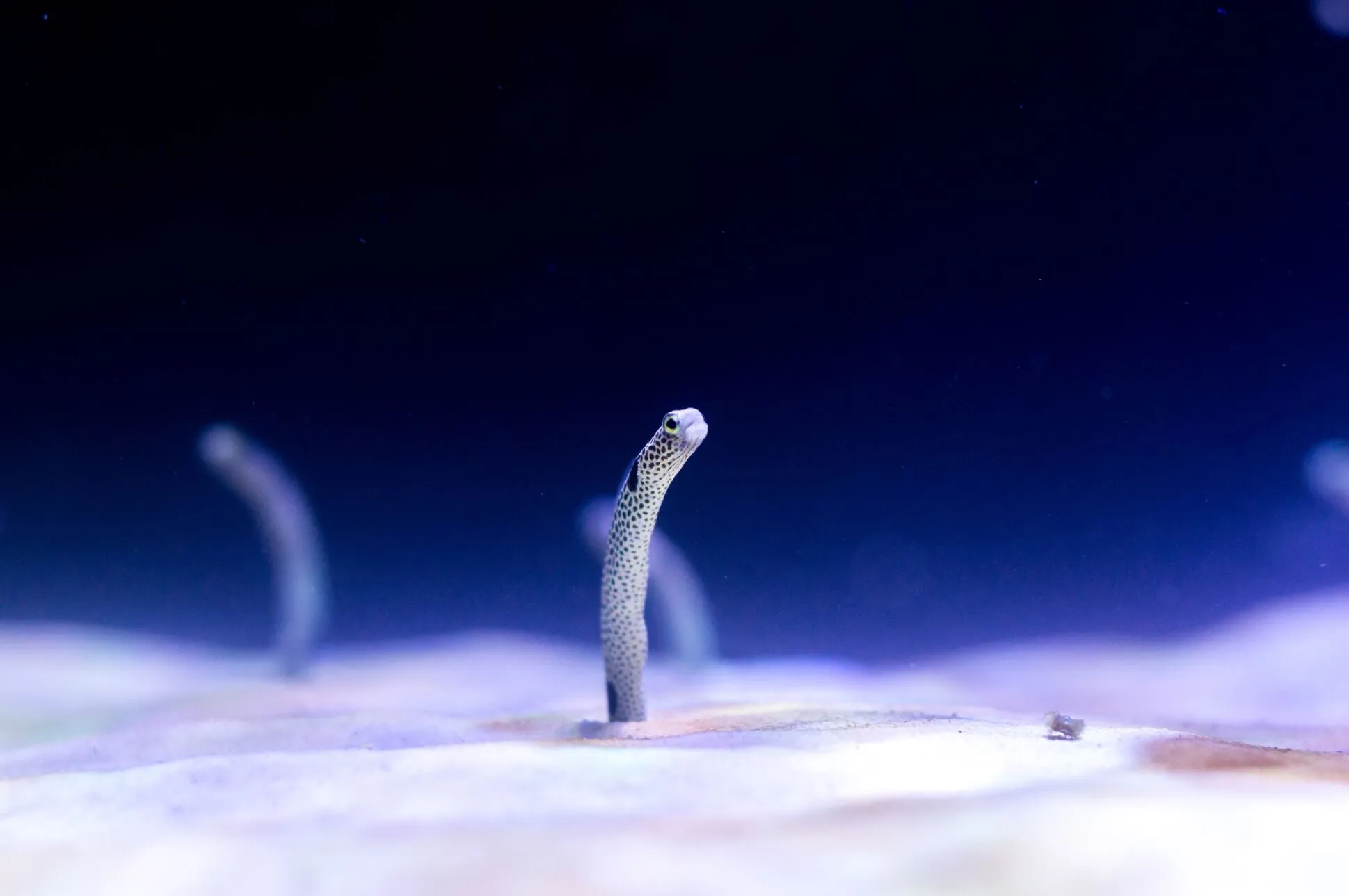 Power Automate: min Function