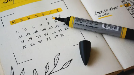 SharePoint: WEEKDAY Function