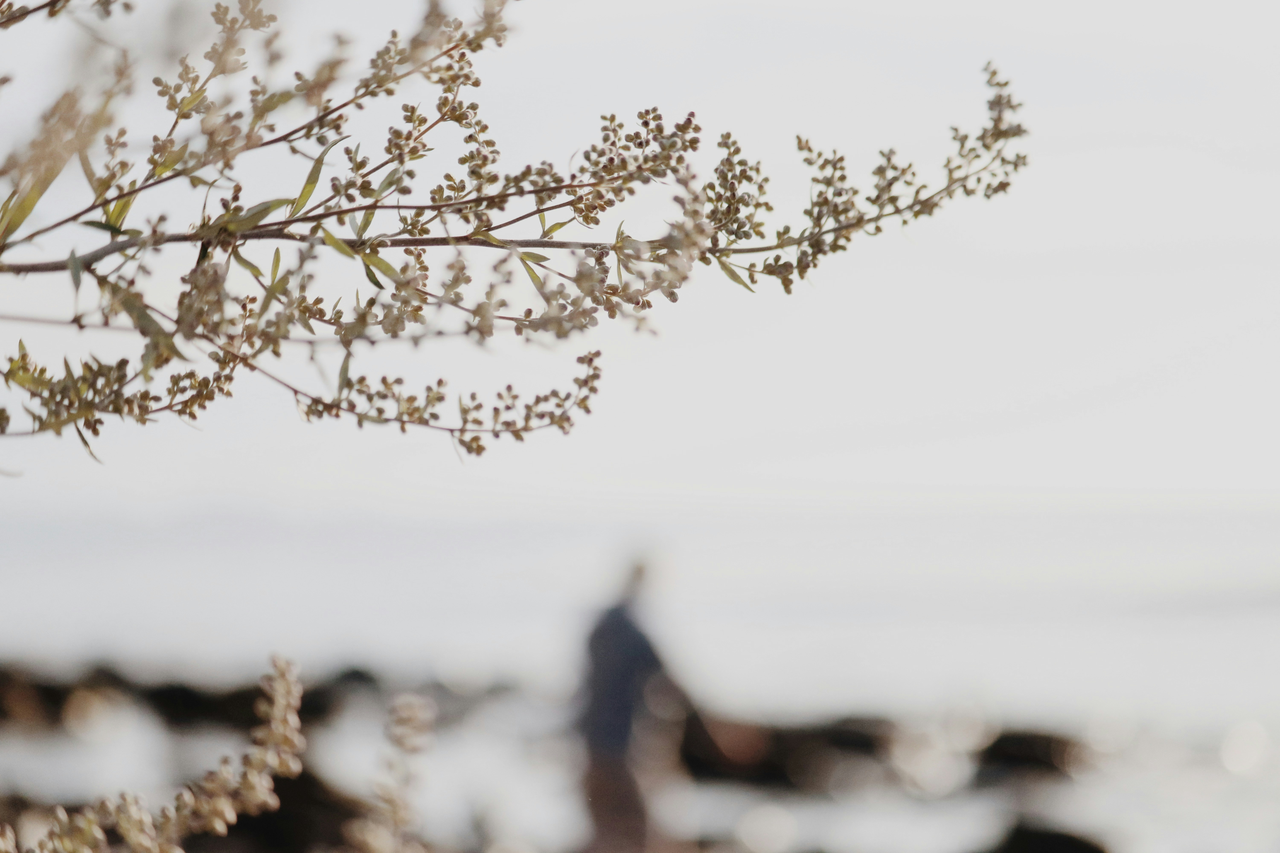 Power Automate: skip Function