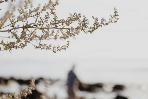 Power Automate: skip Function