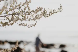 Power Automate: skip Function