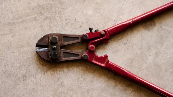 Wordpress: How to remove the "Category:"