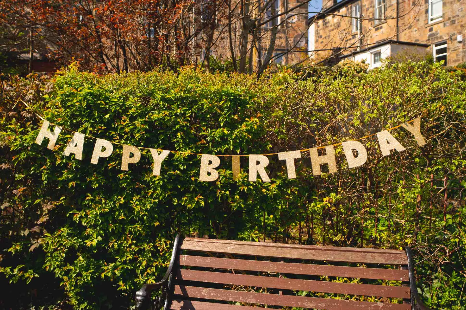 Happy Second Birthday