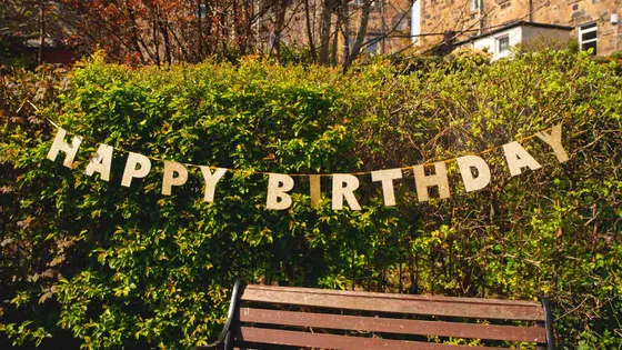Happy Second Birthday