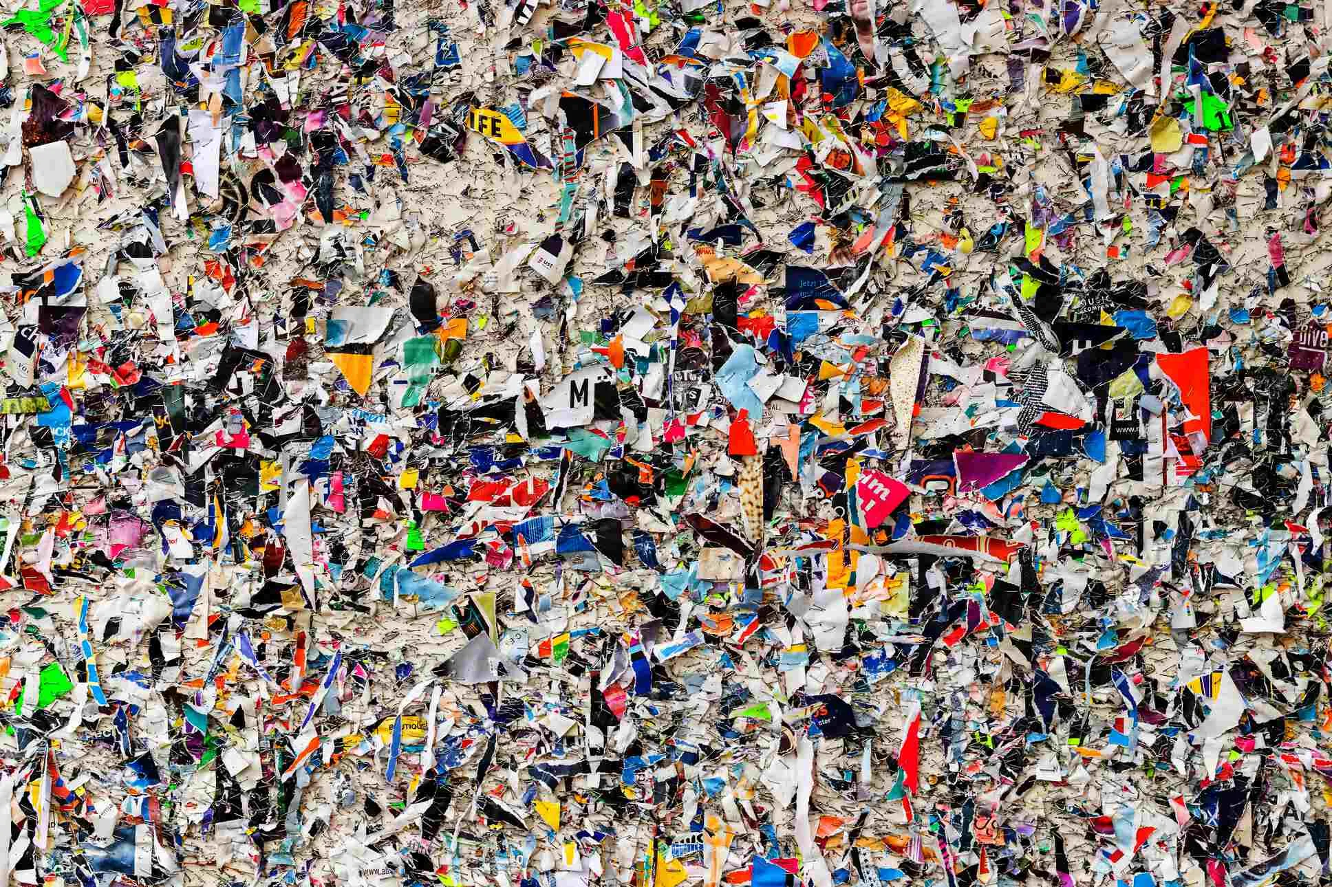 Introducing the Reference and Bargain Bin