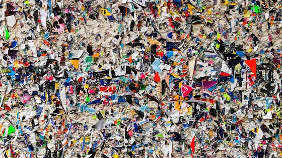Introducing the Reference and Bargain Bin