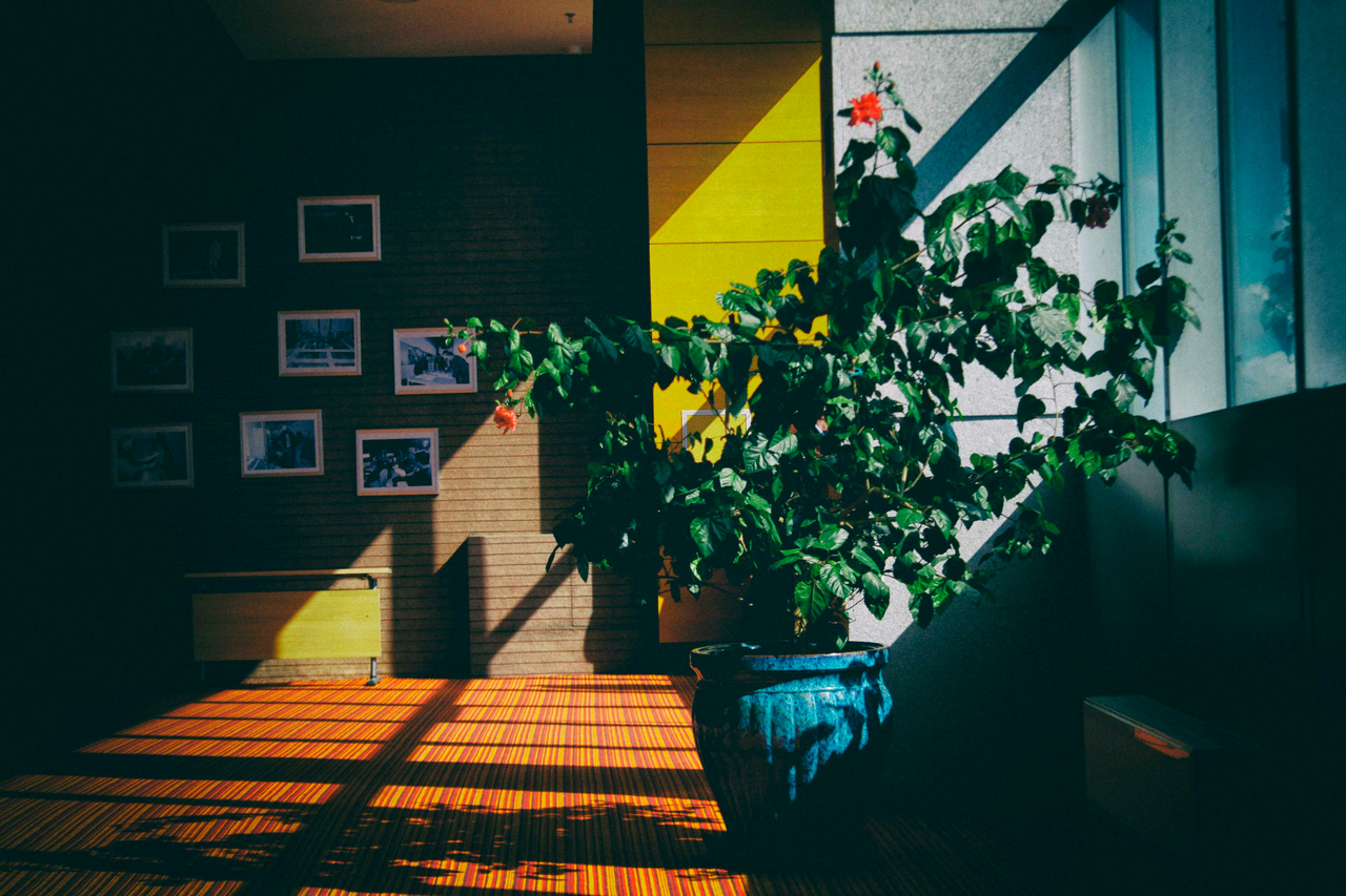 Power Automate: dayOfYear function