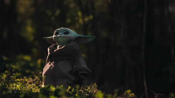 Star Wars Day